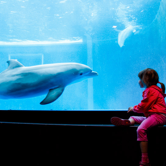 media.Servizi-Oltremare-Hotel-Atlantic-Riccione