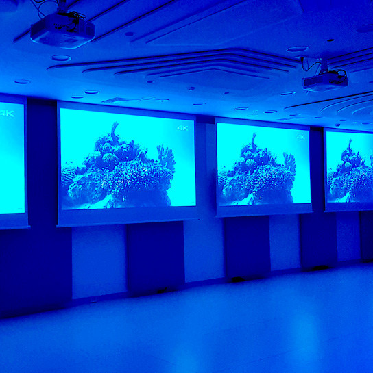 media.Servizi-Andromeda-4-schermi-Hotel-Atlantic-Riccione