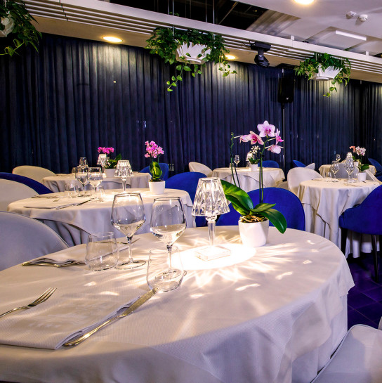 media.Sala White & Blue Bis 2000px