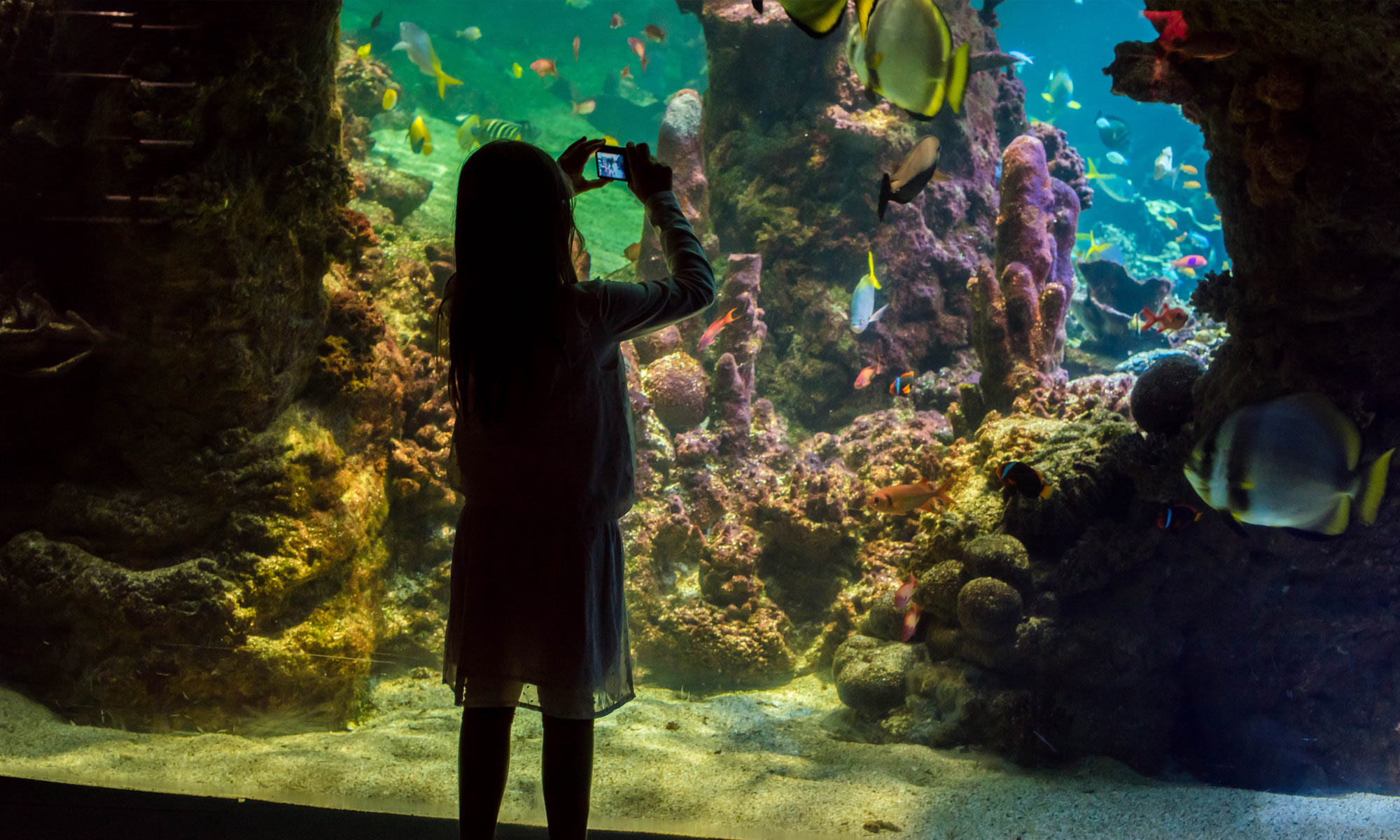 media.parchi-divertimento-02-testata