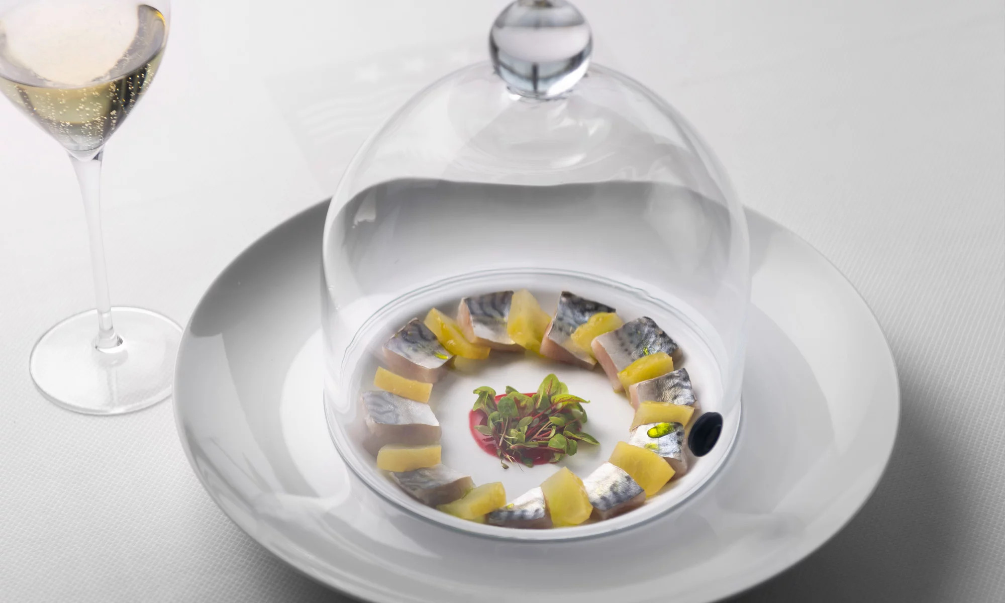 media.Slide-Green-Restaurant-3-Hotel-Atlantic-Riccione