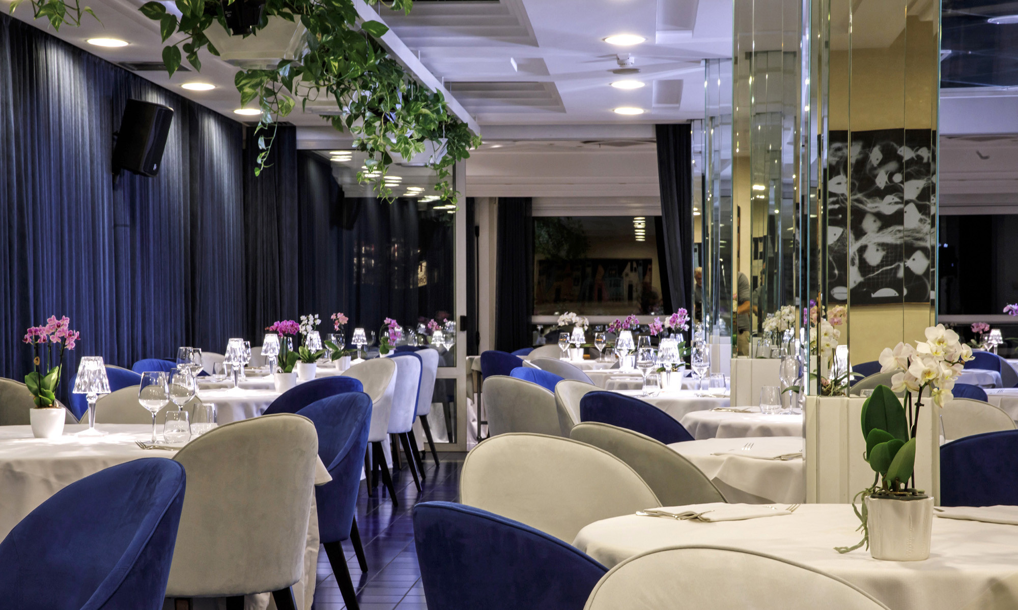 media.Sala White & Blue 2000px